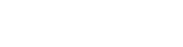i4DS